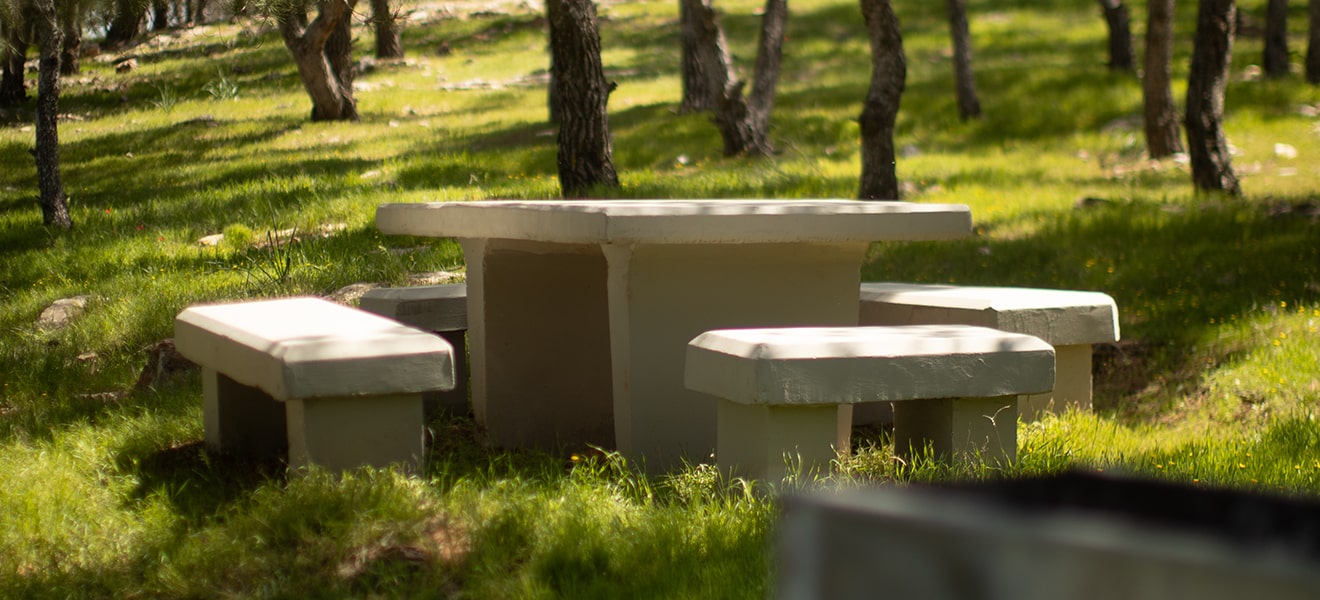 wasfi-tal-eco-park-picnic