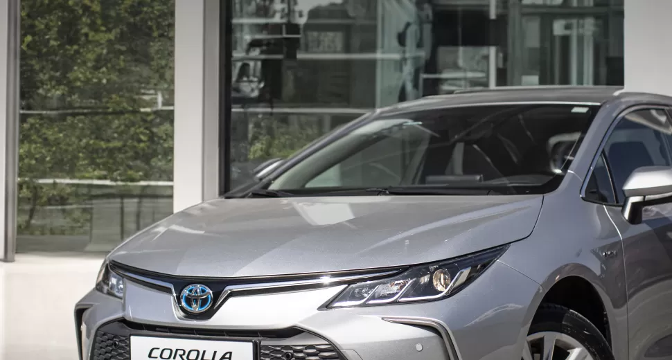 corolla